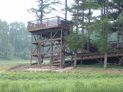 この夏初登場の展望台