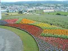 日の出をイメージ
