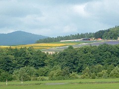 7-22フラワーランド