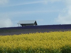 7-22かんのファーム