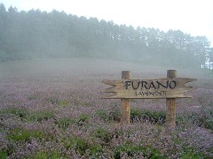 ふらのワイン工場8/05