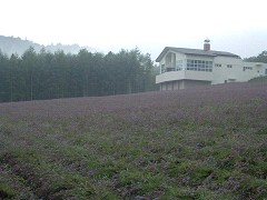 ハイランドふらの8/05