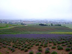 07-14日の出公園