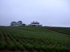 07-14日の出公園