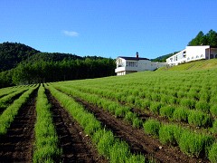 06-30ハイランドふらの