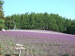 07-21ファーム富田