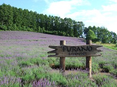 07-21ぶどうヶ丘公園