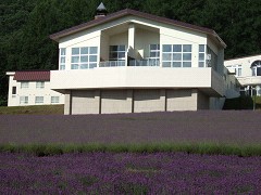 07-21ハイランドふらの