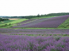 07-21日の出公園