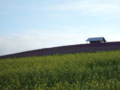 07-21かんのファーム