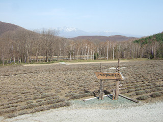 ハイランドふらの（2012年4月30日）