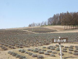 彩香の里（2012年5月1日）