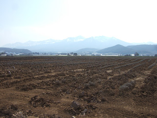 ラベンダーイースト（2012年5月1日）