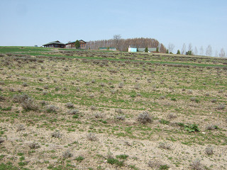 フワワーランドかみふらの（2012年5月1日）