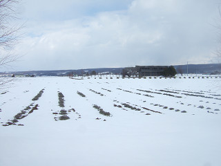 ラベンダーイースト(2013年4月1日)