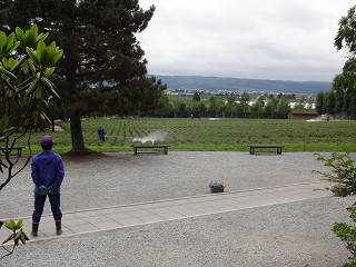 ファーム富田(2013年6月21日)