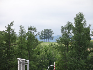 かんのファームより見える五本の木(2013年6月21日)