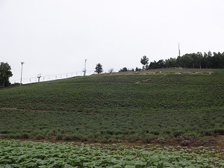 北星山(2013年6月28日)
