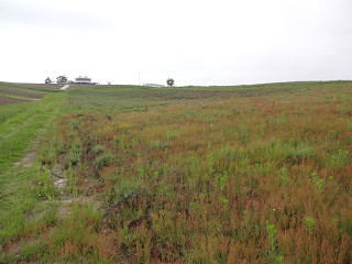 日の出山(2013年6月28日)