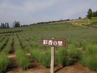 彩香の里・佐々木ファーム(2013年7月5日)